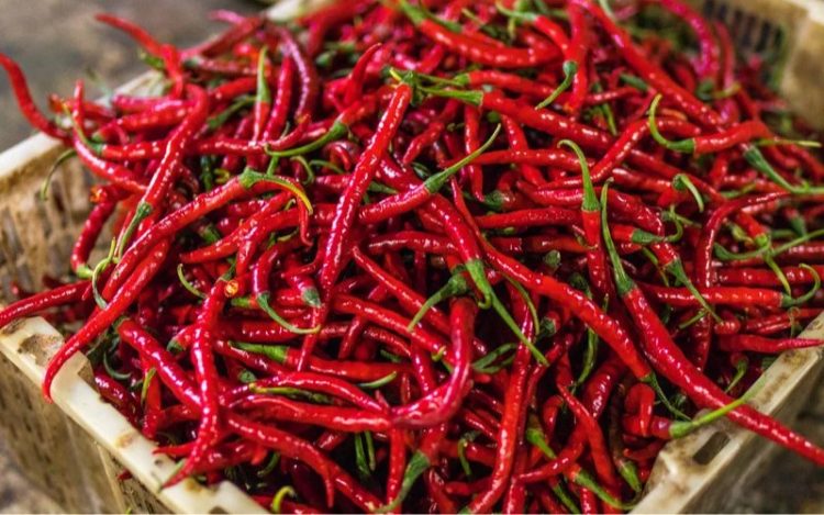 Bapanas: Harga Pangan Awal Agustus 2025 Didominasi Kenaikan