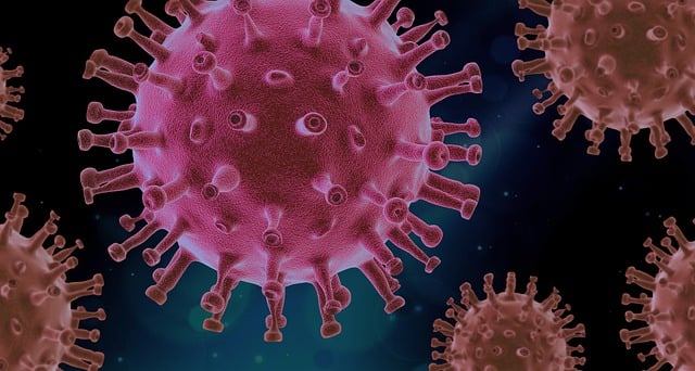 Autophagy, Proses “Pembersihan” Sel yang Bikin Tubuh Lebih Sehat