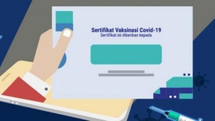 Cara Cek Sertifikat Vaksinasi Tanpa Harus Unduh Aplikasi PeduliLindungi