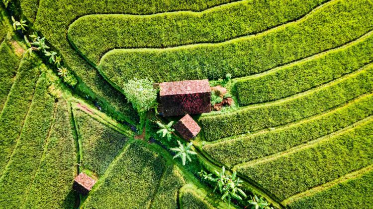 5 Tips Travelling Jadul Ini Masih Relevan Dipakai Sekarang