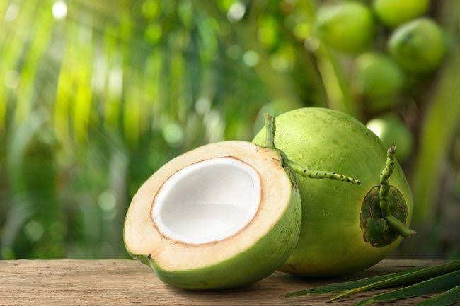 Ini Manfaat Buah Kelapa untuk Tubuh saat Berpuasa