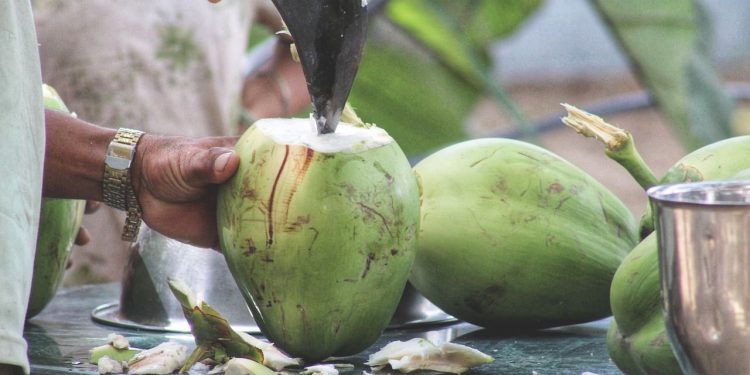 Tak Selalu Baik, Ini Bahaya Mengonsumsi Air Kelapa Berlebihan