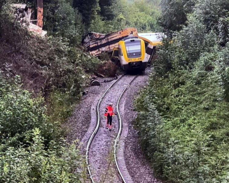 3 Orang Tewas dalam Insiden Kereta Tergelincir di Jerman Barat