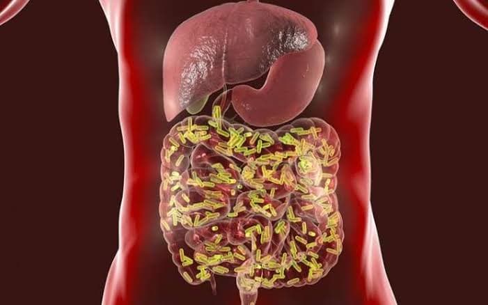 Seamoss Gel, Tren Superfood yang Kian Digemari untuk Kesehatan Tubuh