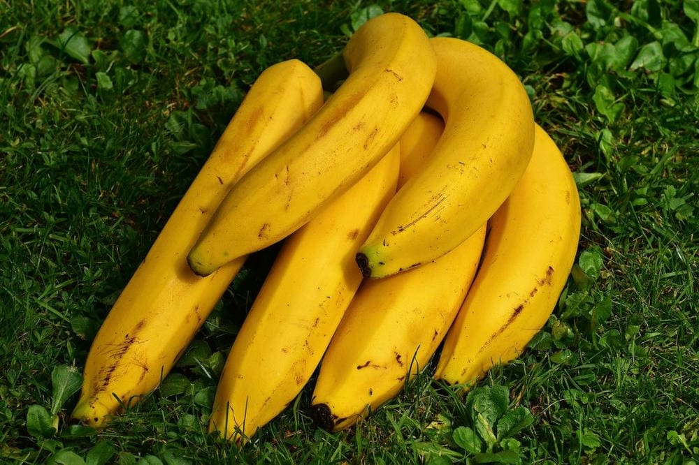 Makanan yang Dianjurkan untuk Anak Saat Diare, Orang Tua Diminta Tidak Panik